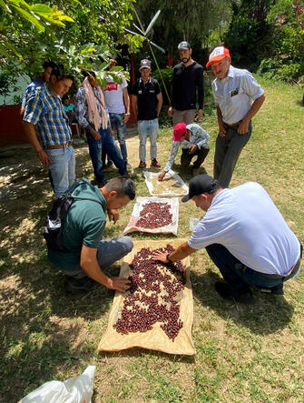 Coffee growers participating in hands-on post-harvest training in Tolima, Colombia.